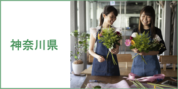 たまプラーザ駅 フラワーショップのお仕事 花屋さん専門人材派遣 Copain コパン